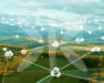 Digitalize Your Carbon Footprint